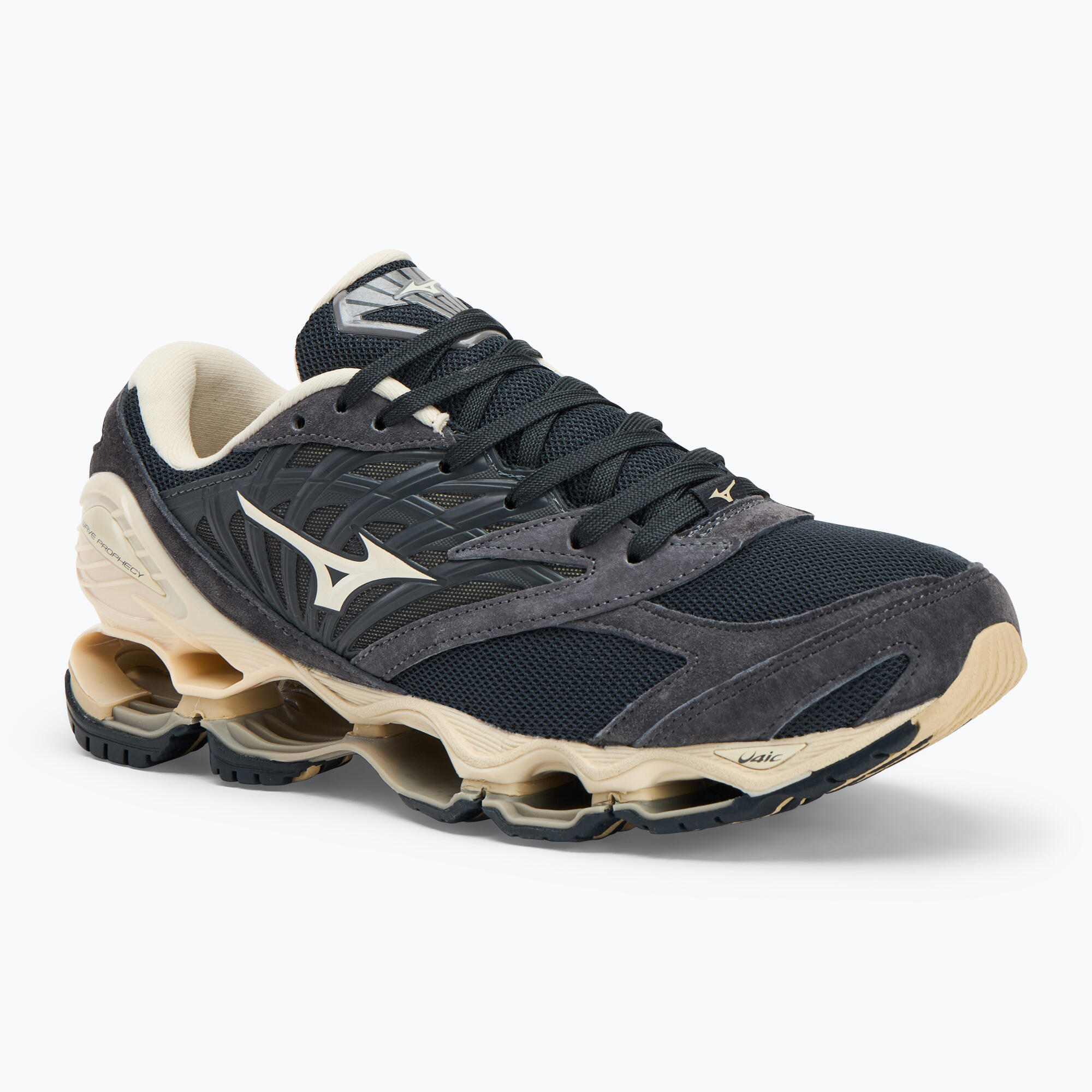 MIZUNO picture