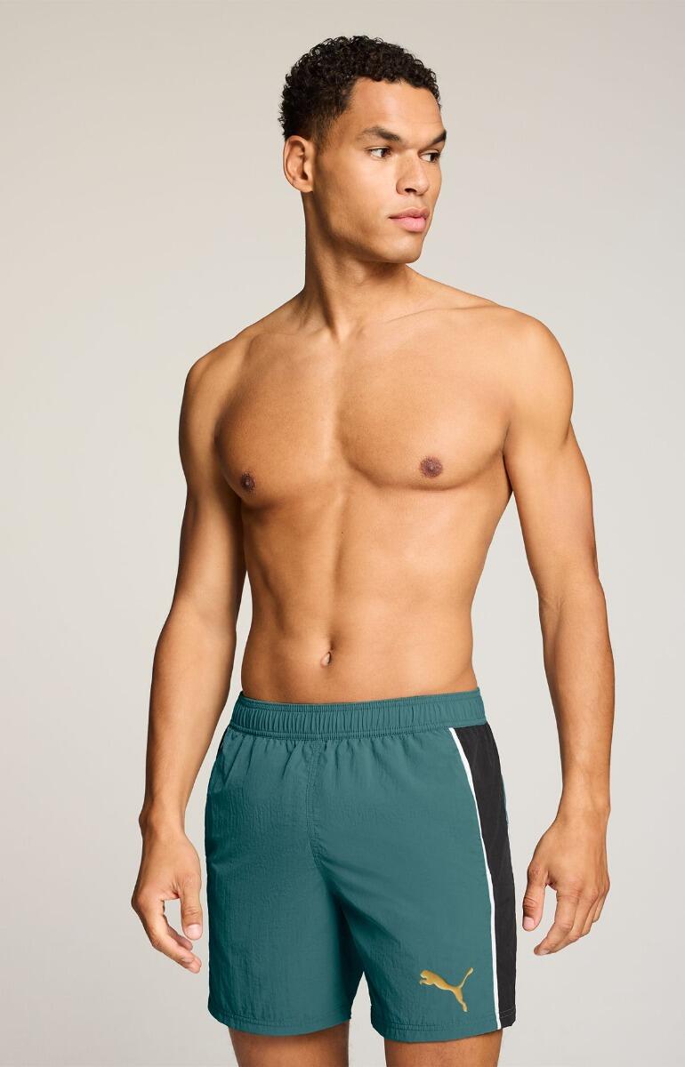 PUMA picture