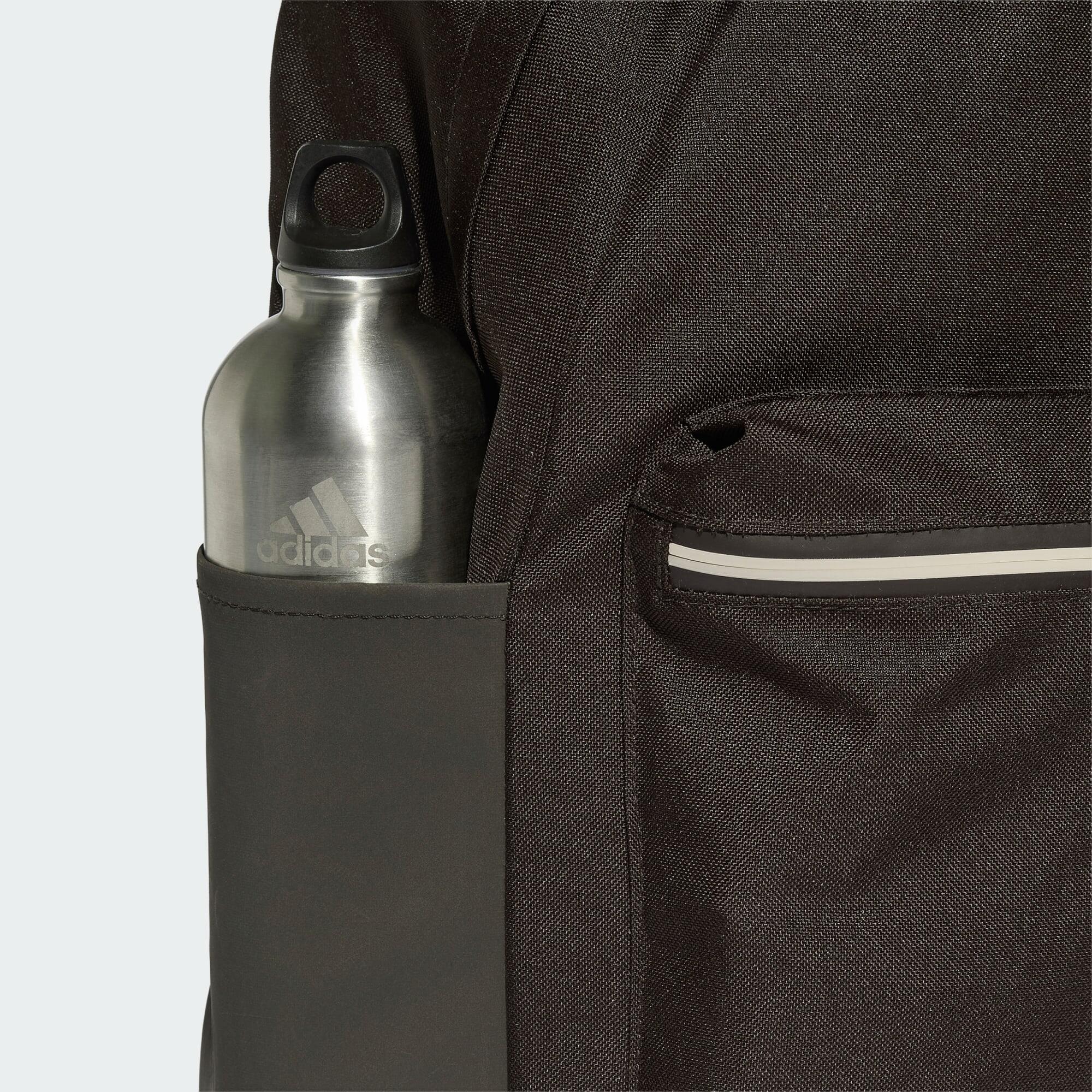 PLECAK ESSENTIALS BACK TO CAMPUS BARS 4/6