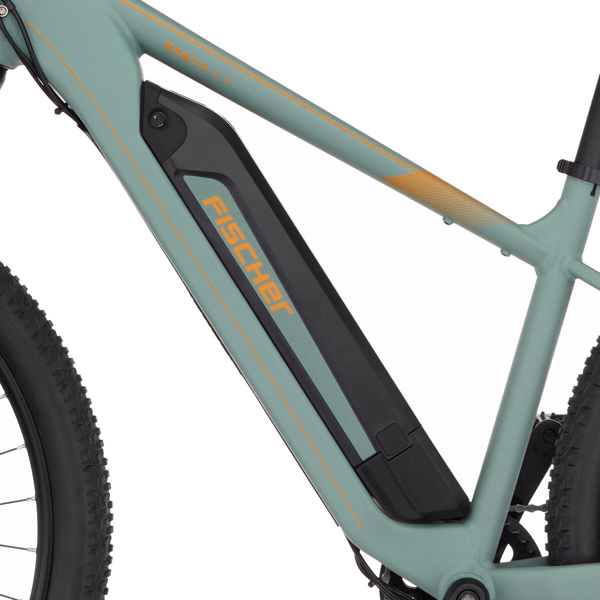 FISCHER E-MTB E-Bike MONTIS 2.2 ACTIVE grün matt, 29 Zoll, RH 49 cm, 688 Wh 6/7