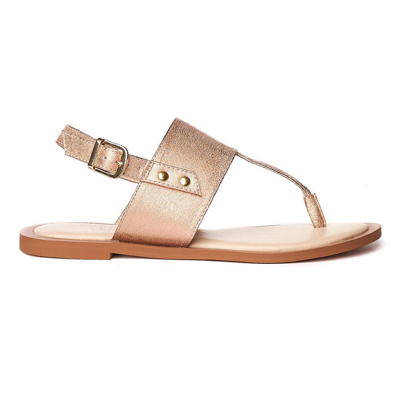 cbbcabcf-bf83-449c-abfe-e41db19e48ac_c1c101