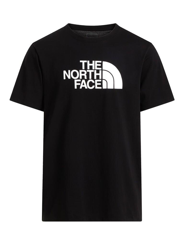 Koszulka turystyczna męska The North Face M Evolution Half Dome Tee 2/3