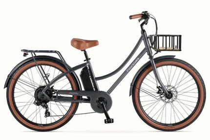 E-Stepcity Vélo Électrique – 250W, 36V, 60 km, Shimano 7V. Graphite F/Basket