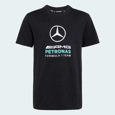Mercedes - amg petronas formula 1 team dna graphic t-shirt