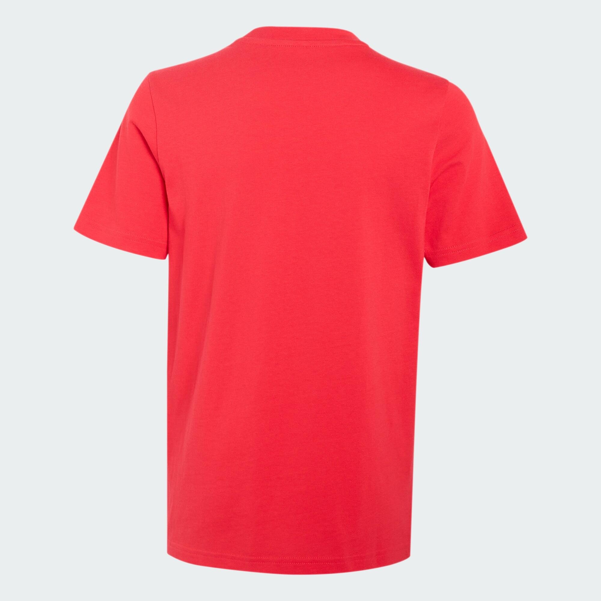 T-shirt Grafica Pasta Junior 4/5