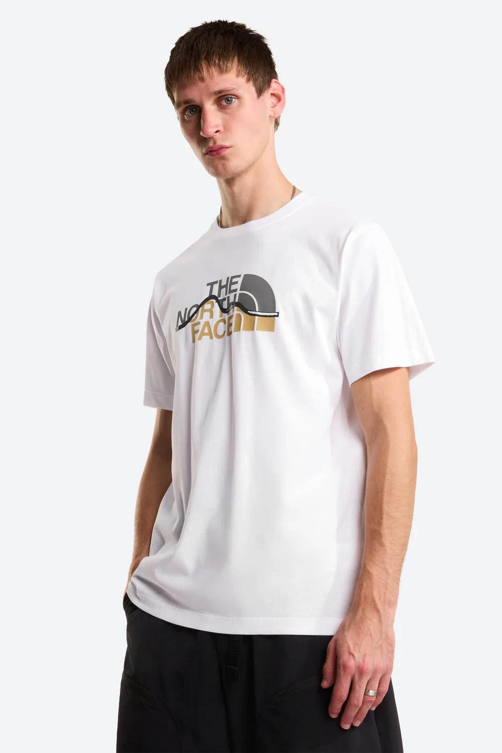 THE NORTH FACE picture