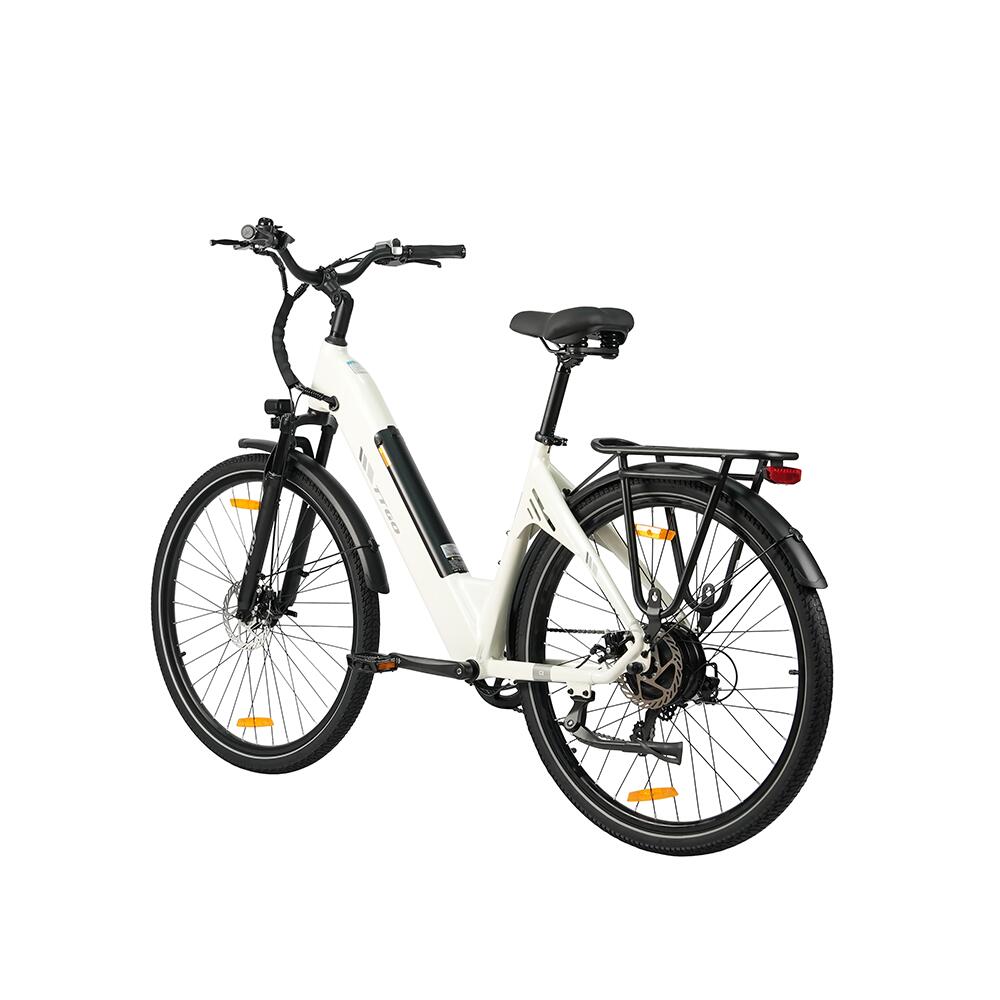 Městské elektrokolo TTGO C3 SE, motor 250 W, baterie 36 V 18 Ah 5/6