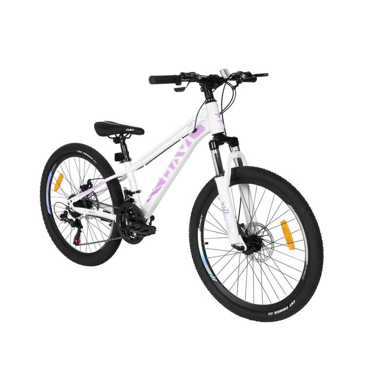 b233b9f3-73d9-403d-a222-aa5614f70147_c4c24