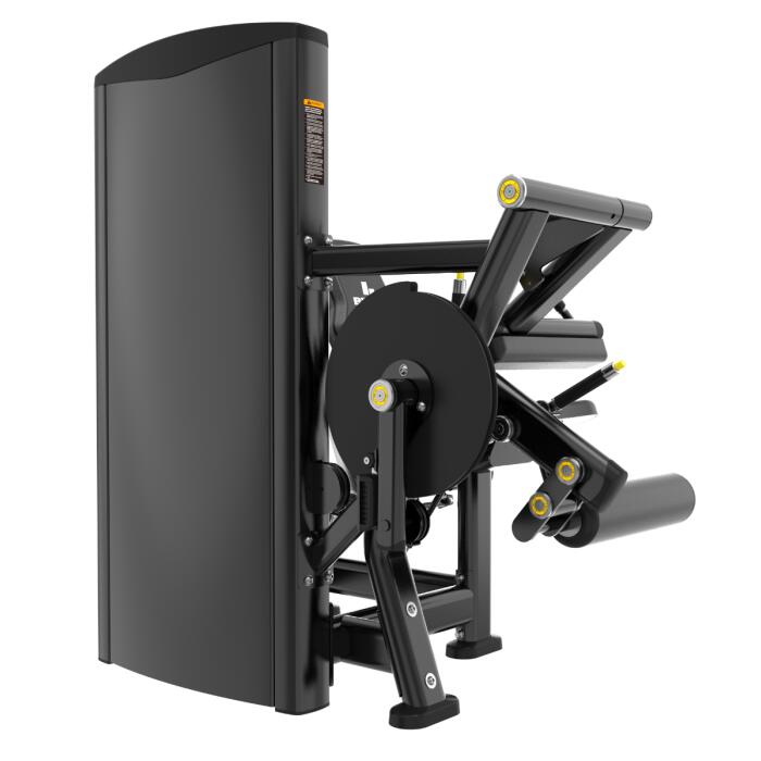 Selectorizada Dual Extensión / Curl de Pierna BSP33 4/6