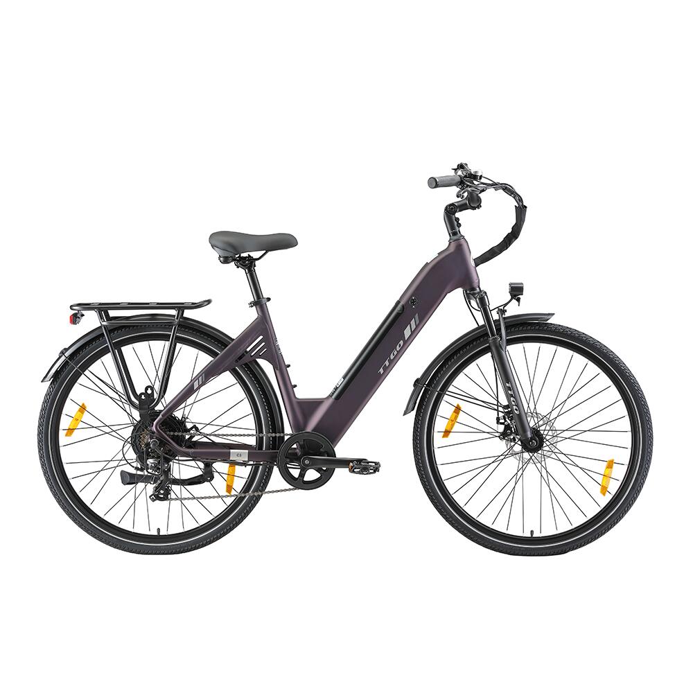 Městské elektrokolo TTGO C3 SE, motor 250 W, baterie 36 V 18 Ah 2/7
