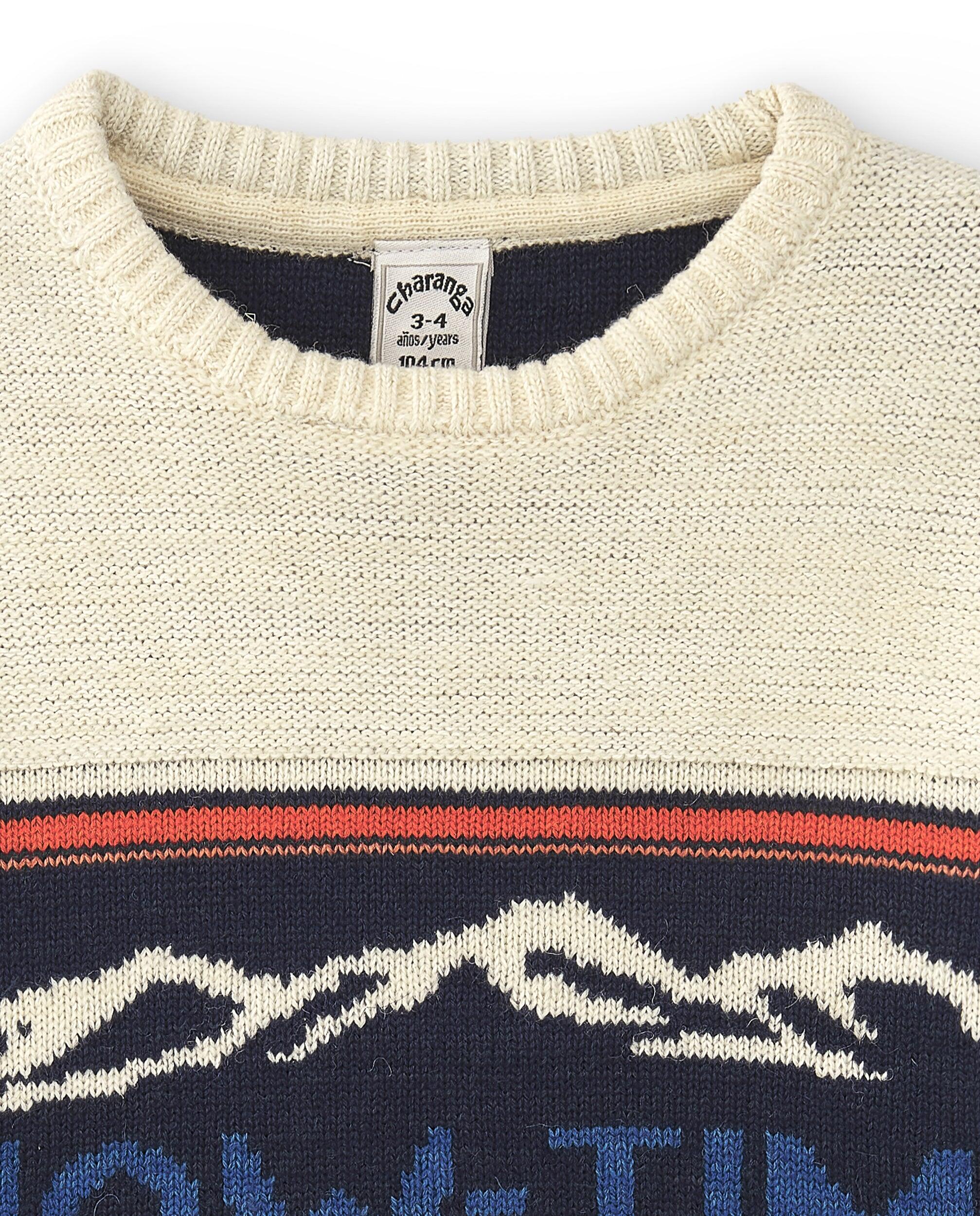 Jersey azul SNOW-TIME de punto estampado para niño 4/5