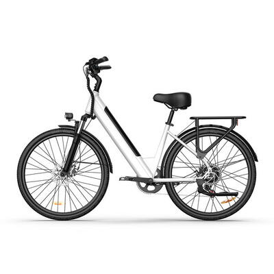 Urlife e26 stadsfiets elektrische fiets 250w motor 48v 10.4ah accu