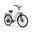 Bicicletă electrică URLIFE E26 pentru navetiști cu baterie de 48V 10.4AH