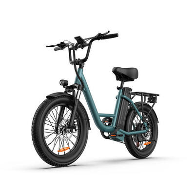 Urlife e20 elektrische forenzenfiets met 48v 13ah accu