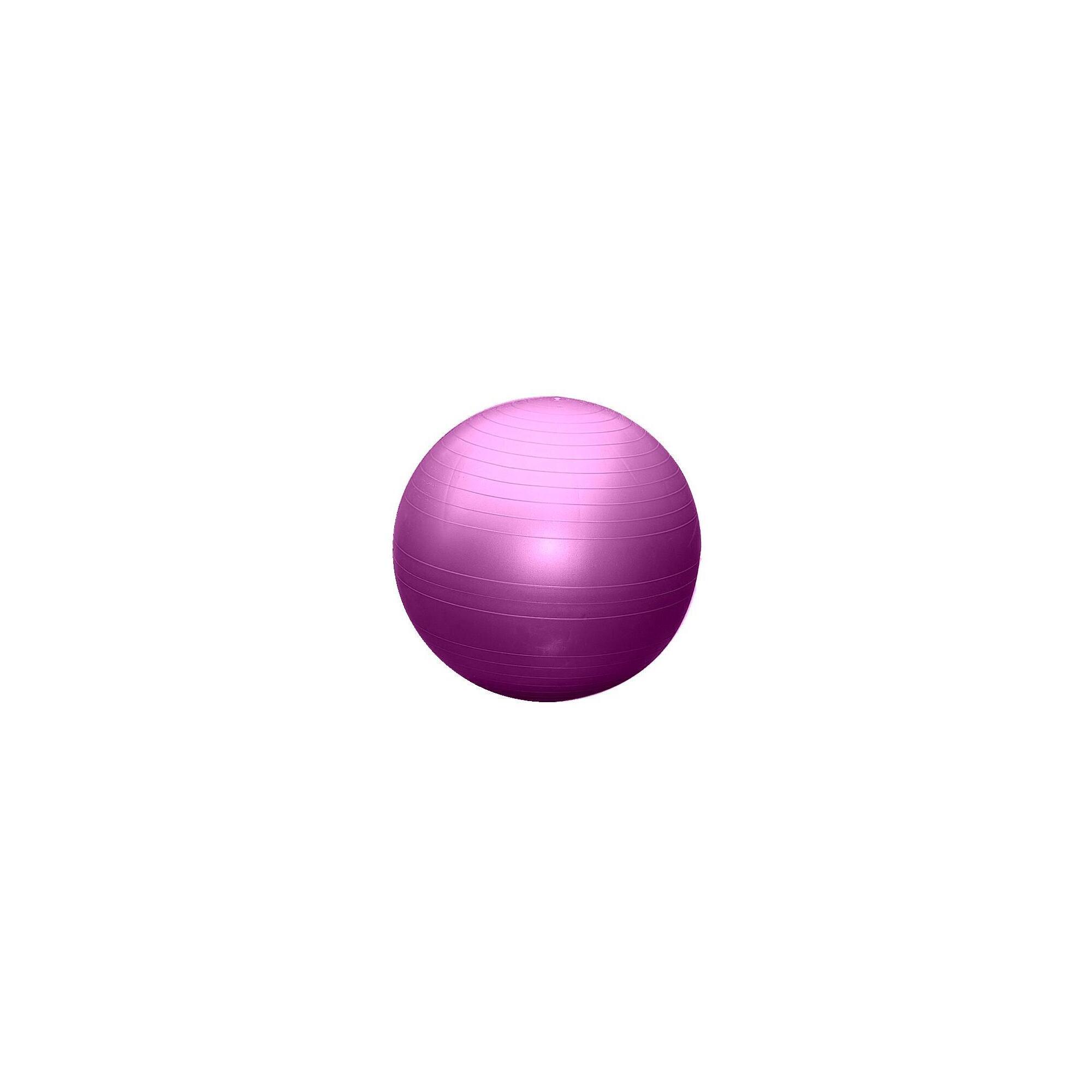 SEDCO Gymnastický míč 75cm EXTRA FITBALL