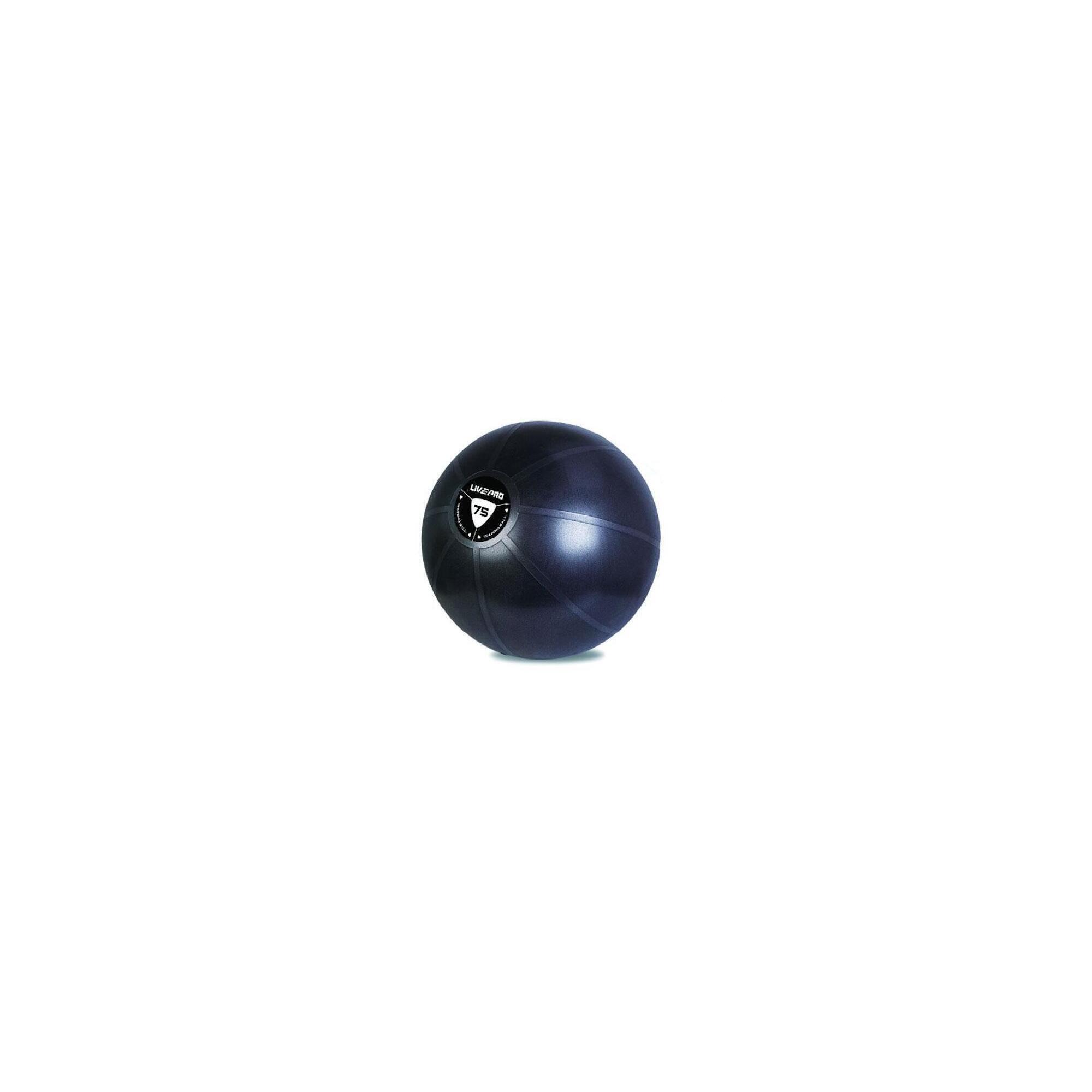 SEDCO Míč gymball LivePro STUDIO FIT EXERCISE 55 cm