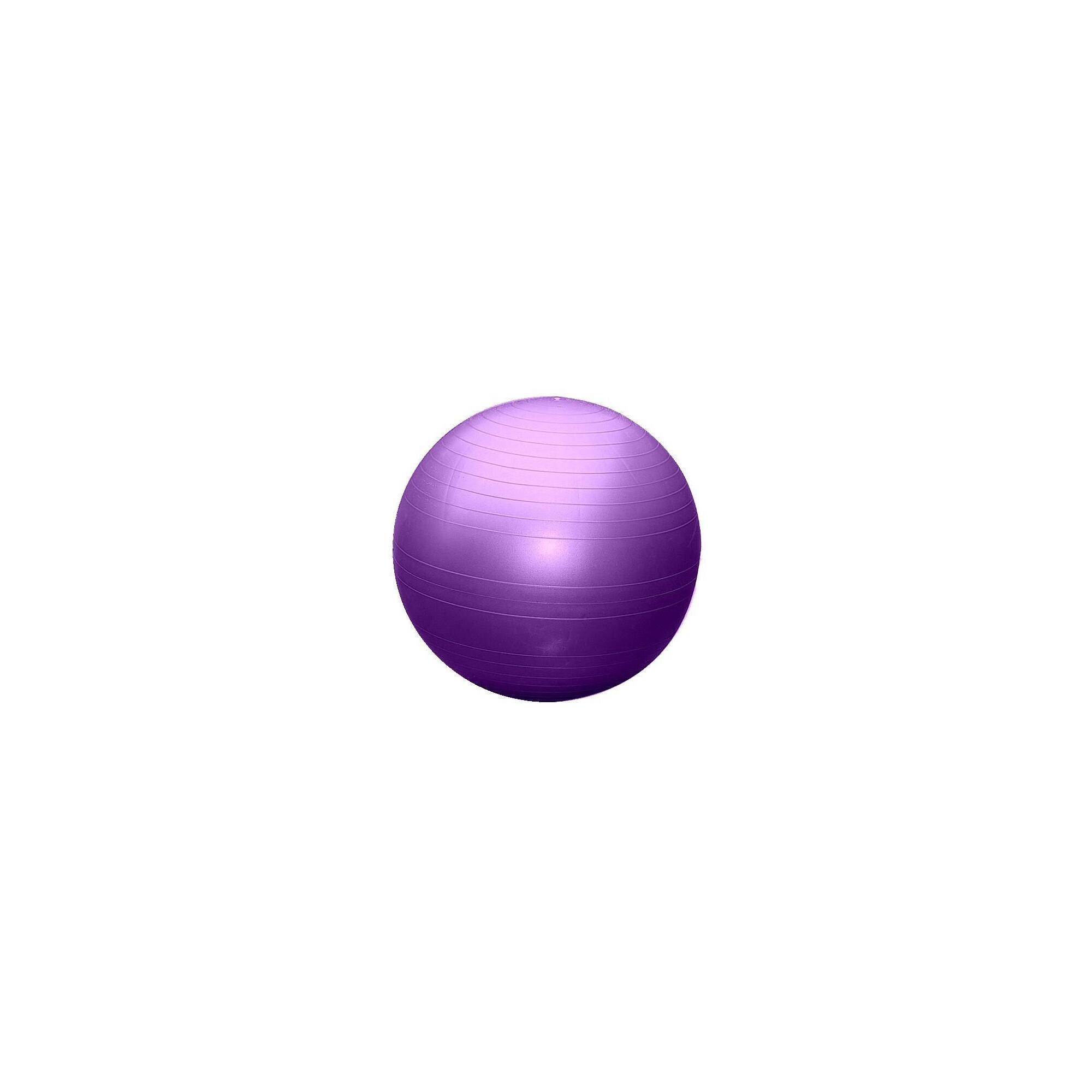 SEDCO Gymnastický míč 85cm EXTRA FITBALL
