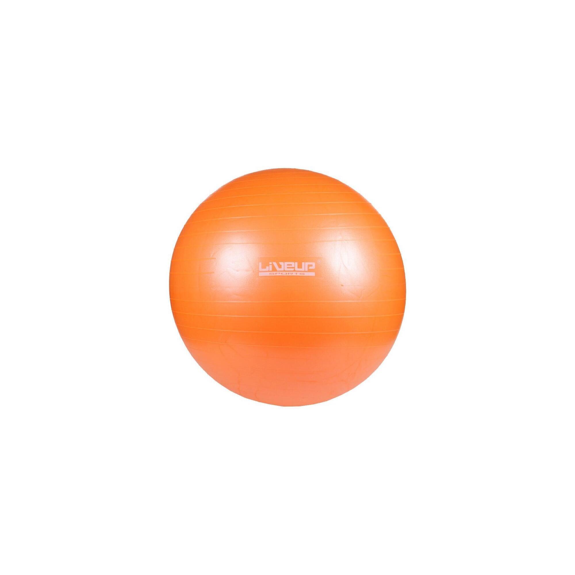 SEDCO Gymnastický míč Anti-burst 65 cm LiveUp