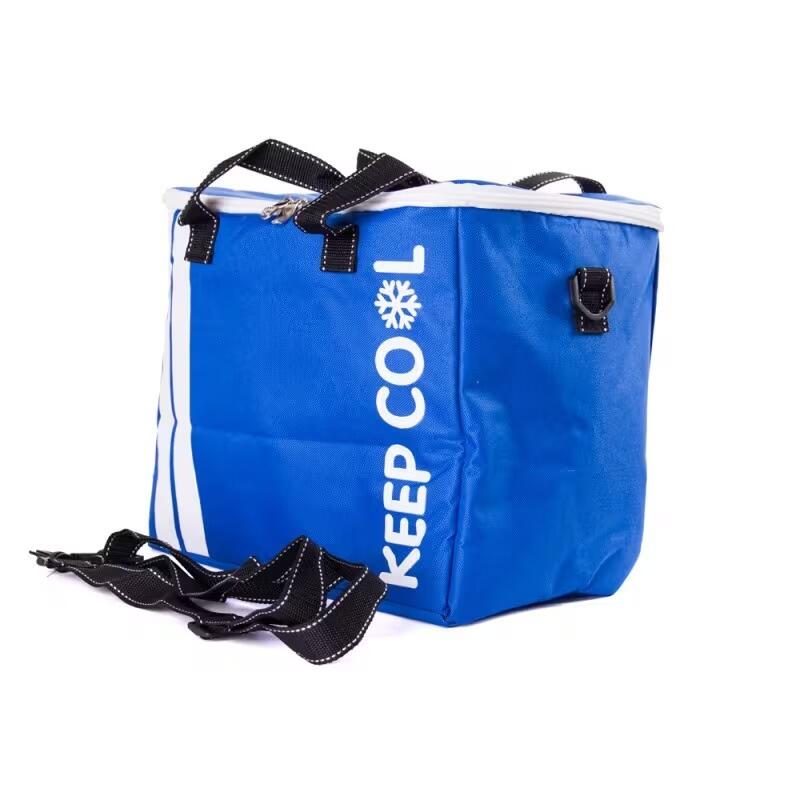Bolso Térmico KEEP COOL 31 x 22 x 27,5 cm (19L) Azul 5/5