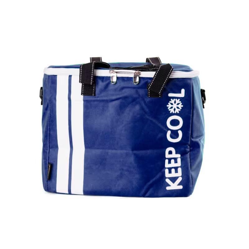 Bolso Térmico KEEP COOL 31 x 22 x 27,5 cm (19L) Náutico 1/5