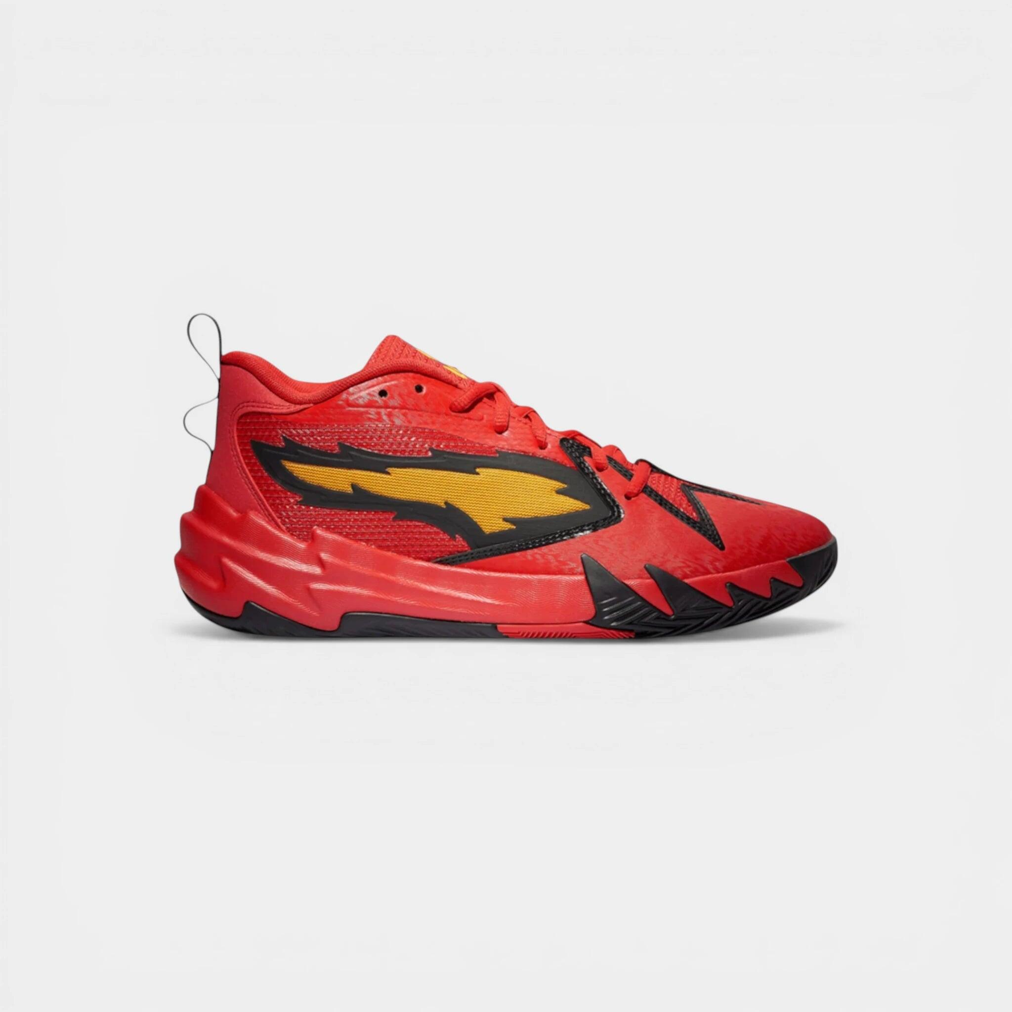 PUMA picture