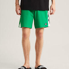 VANS picture