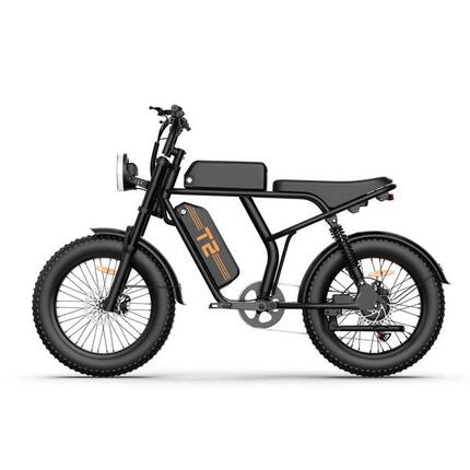 URLIFE T2 Vélo Électrique 250W 48V 15.6Ah Noir