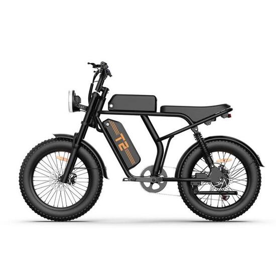 URLIFE T2 Vélo Électrique 250W 48V 15.6Ah Noir