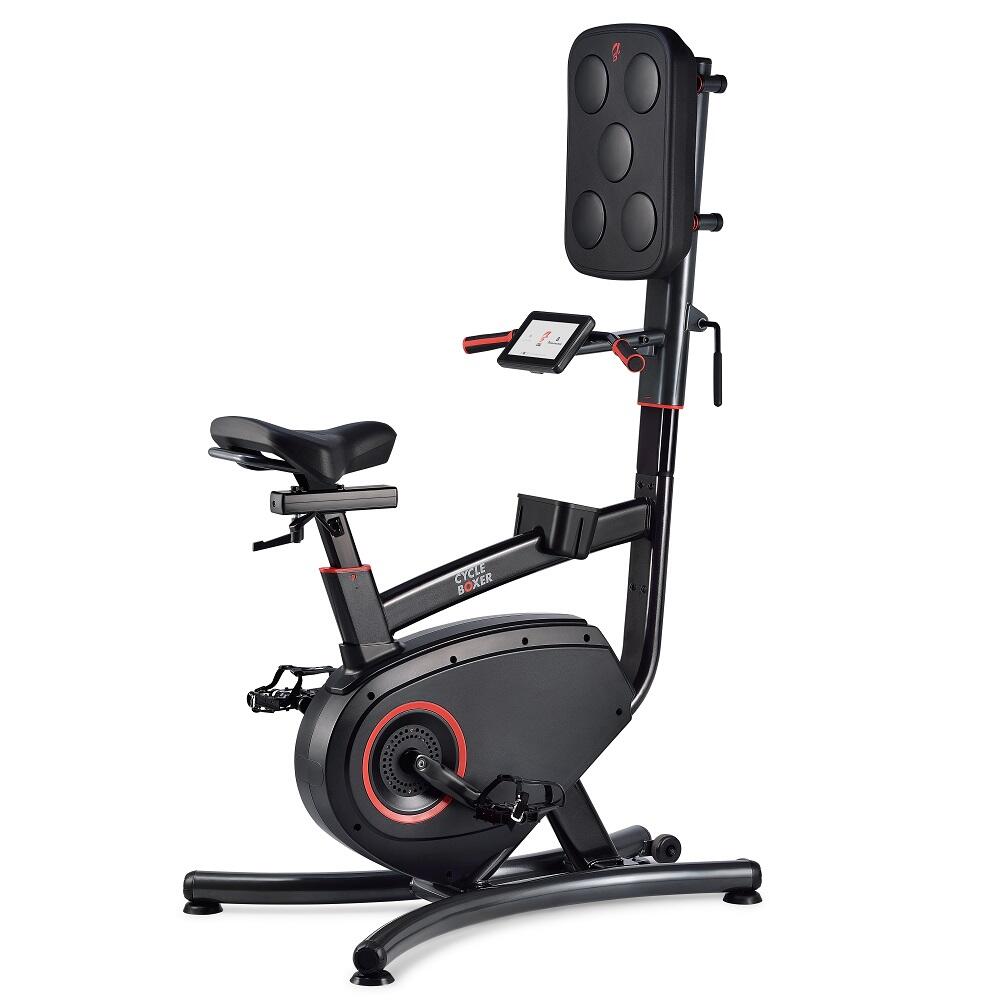 LifeSpan Fitness Bicicleta Estática Bicicleta de boxeo CB110