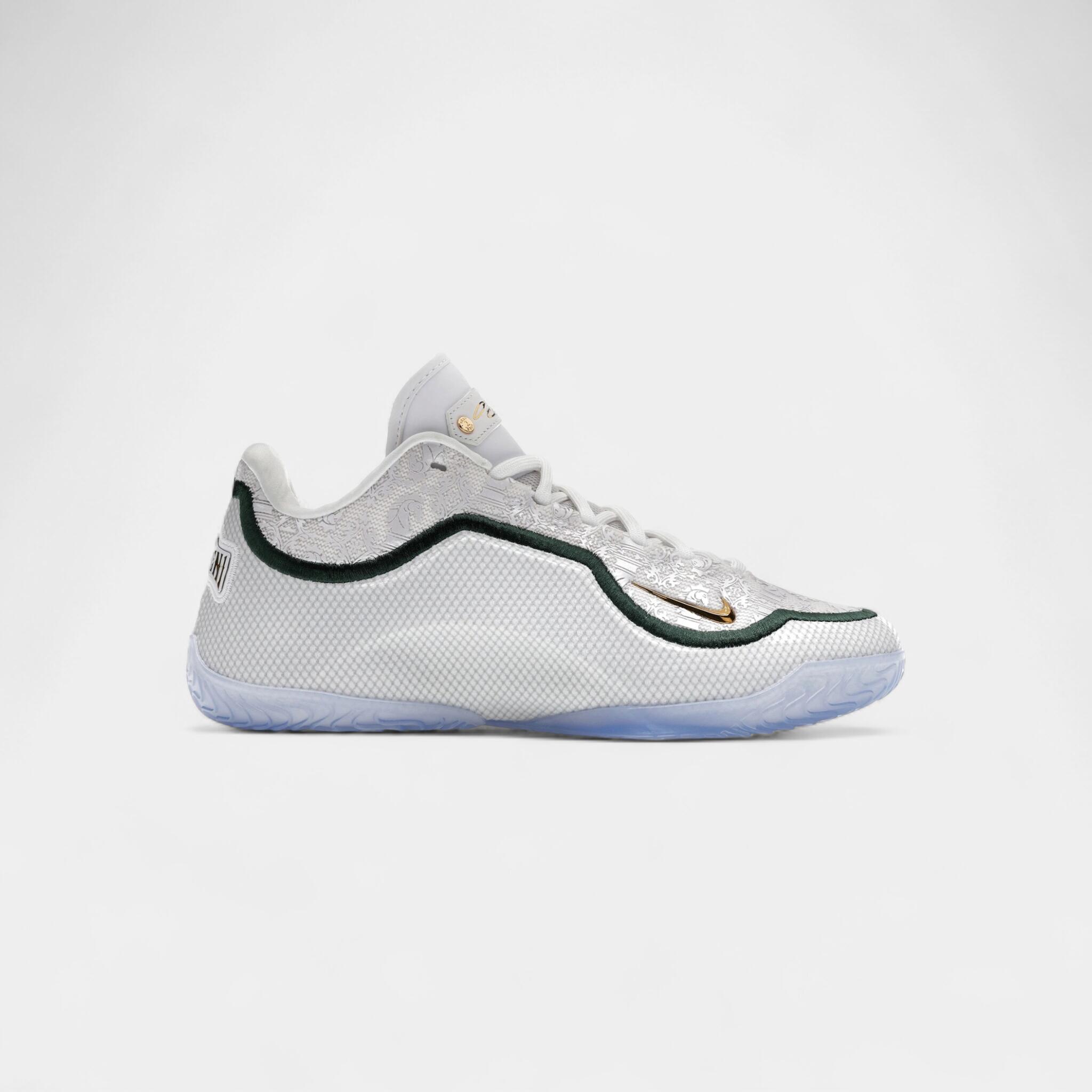 Nike LeBron 23 From This Point Forward 1/5