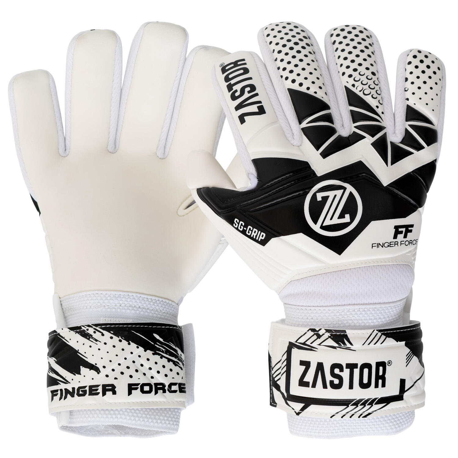ZASTOR picture