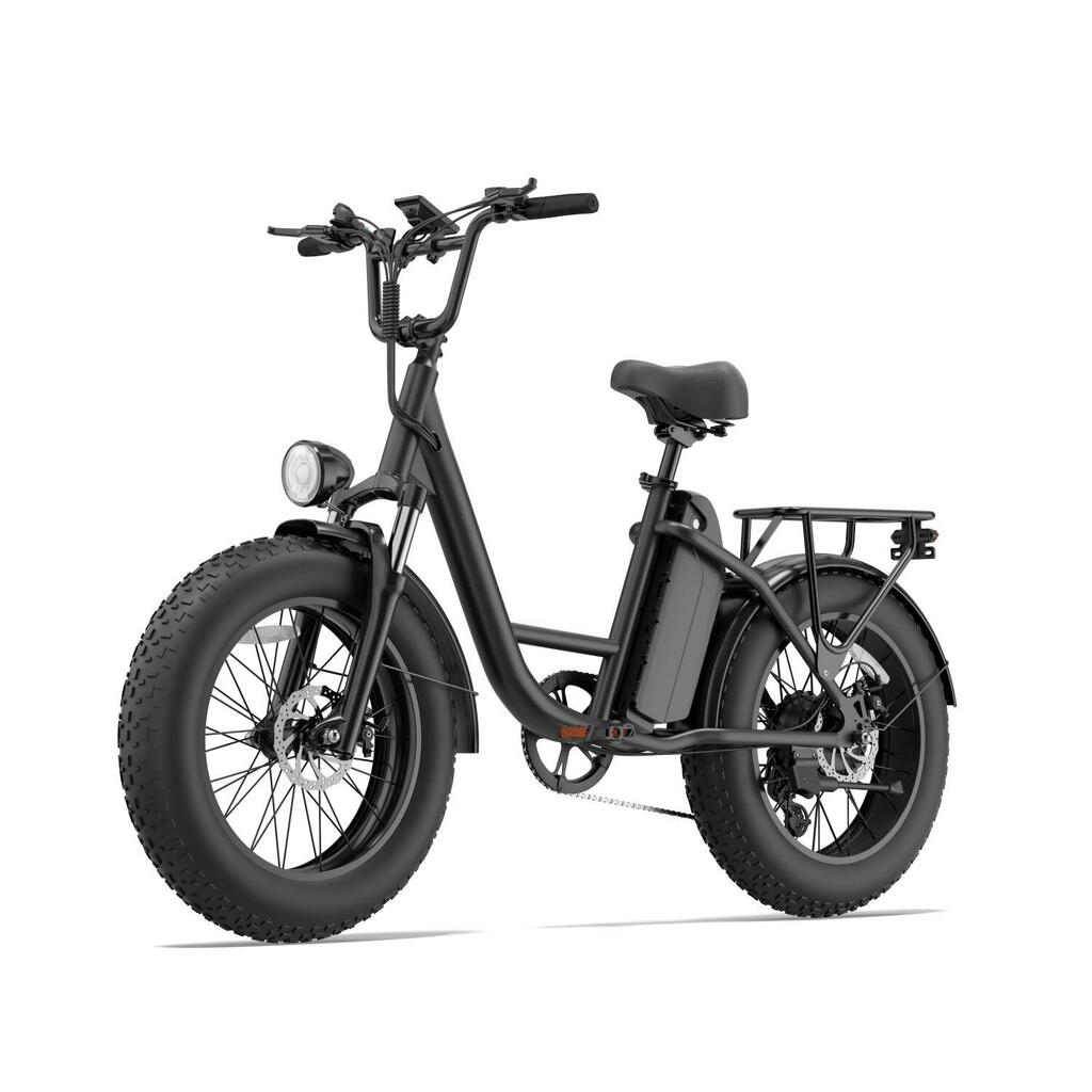 Electric Bike URLIFE E20 PRO 750W 48V15.6Ah 20" Black