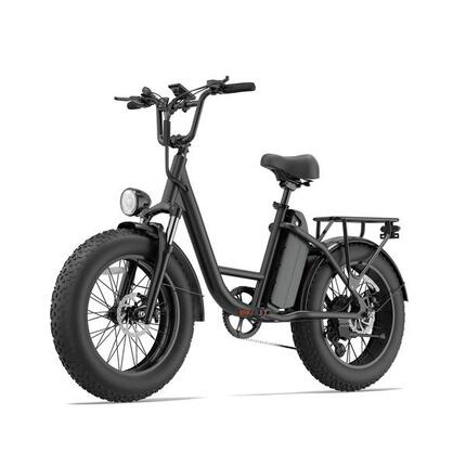 Vélo Électrique URLIFE E20 PRO 750W 48V15.6Ah 20" Noir