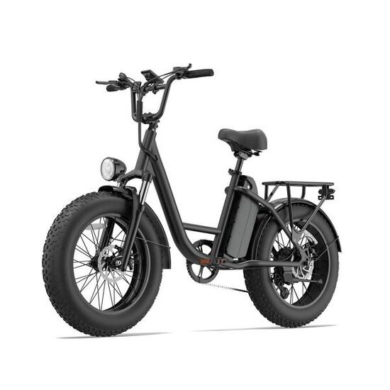 Vélo Électrique URLIFE E20 PRO 750W 48V15.6Ah 20" Noir