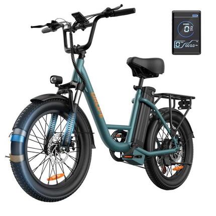 Vélo Électrique URLIFE E20 250W 48V 13Ah 20 Pouces Vert