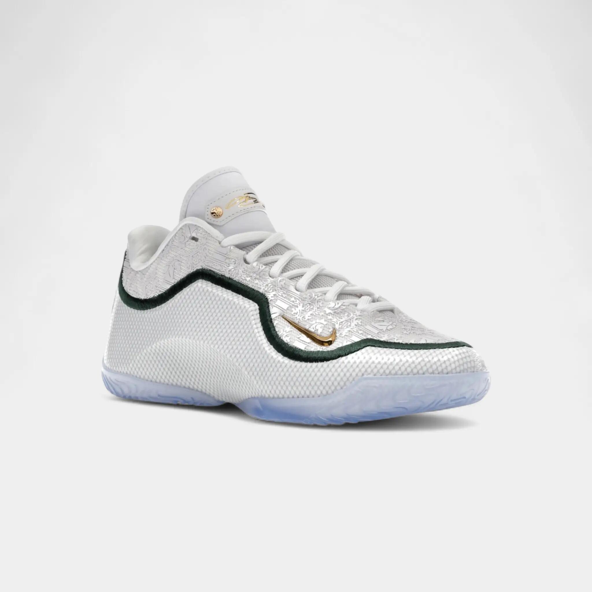 Nike LeBron 23 From This Point Forward 2/5