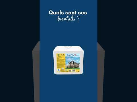 Bloc de pierre minérale à lécher à la biotine et à la vitamine E 10 kg IMIMA 7/7