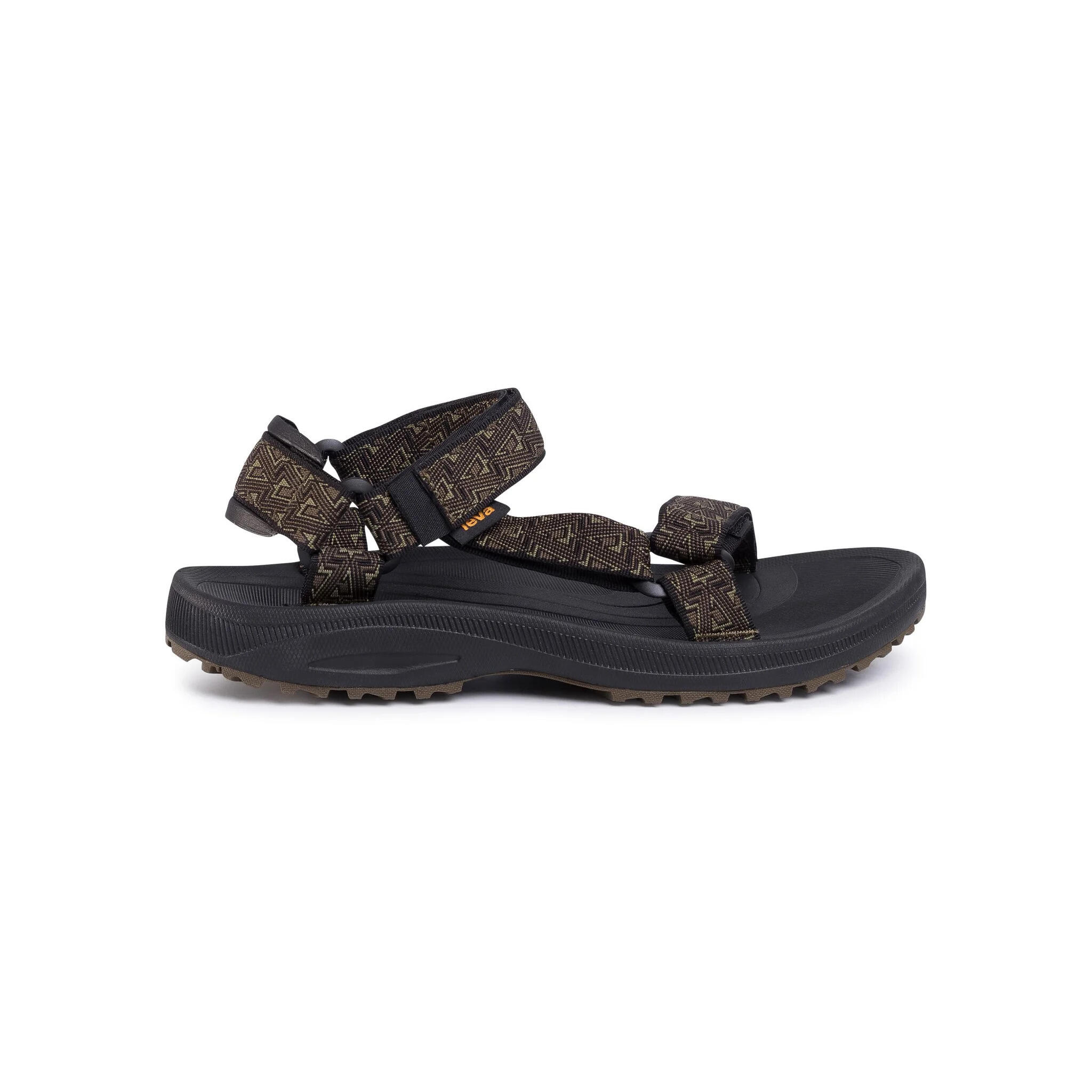 TEVA picture