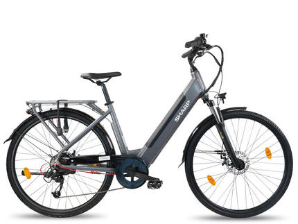 Unisex Elektro-Stadtfahrrad 12.8Ah 28-Zoll grau Urban