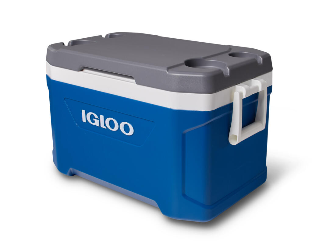 IGLOO picture