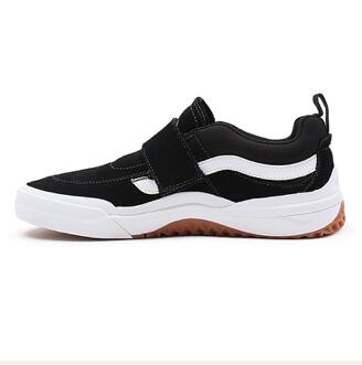 VANS picture