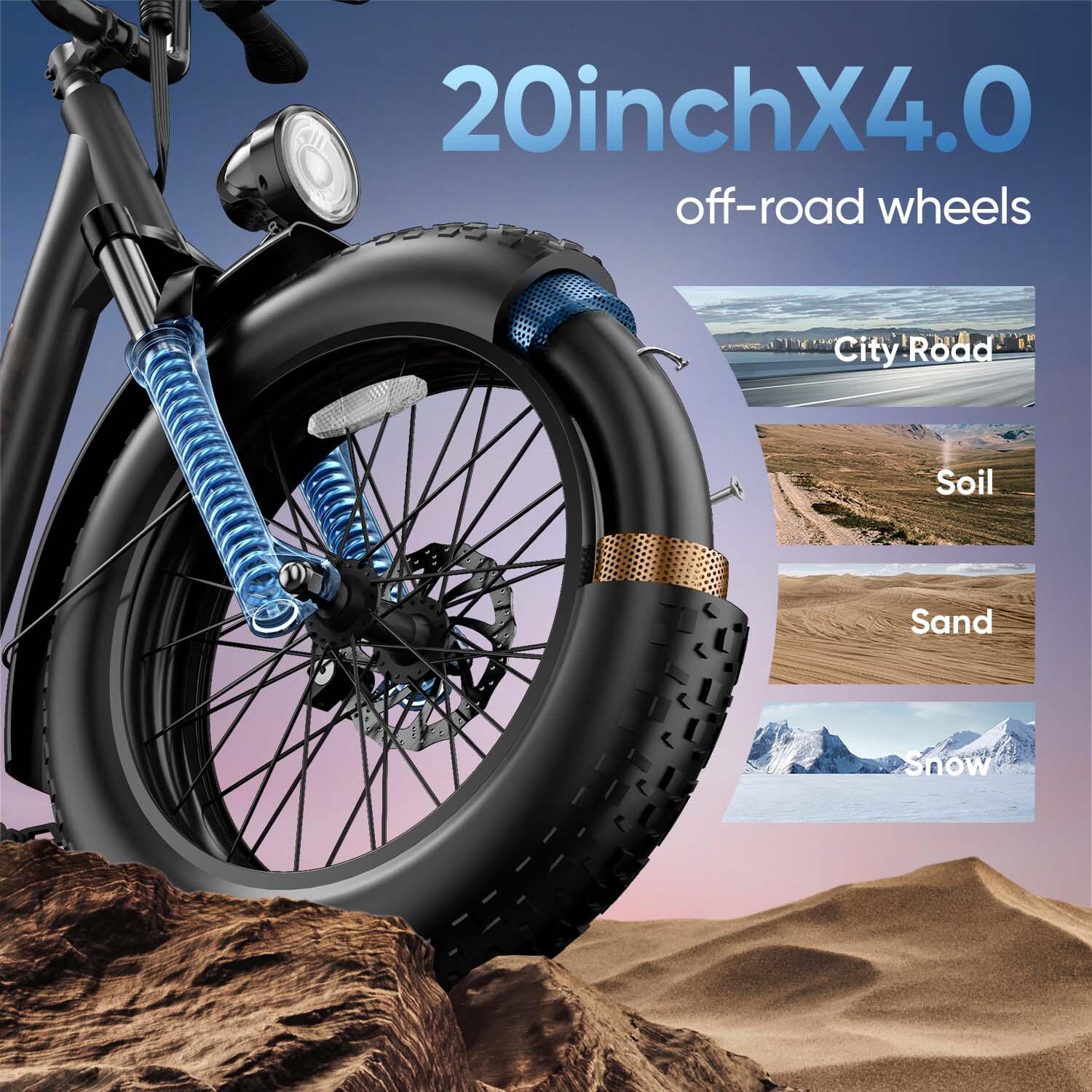 URLIFE E20 Pro E-Bike mit 48V 15,6Ah Akku und LCD-Display 5/7