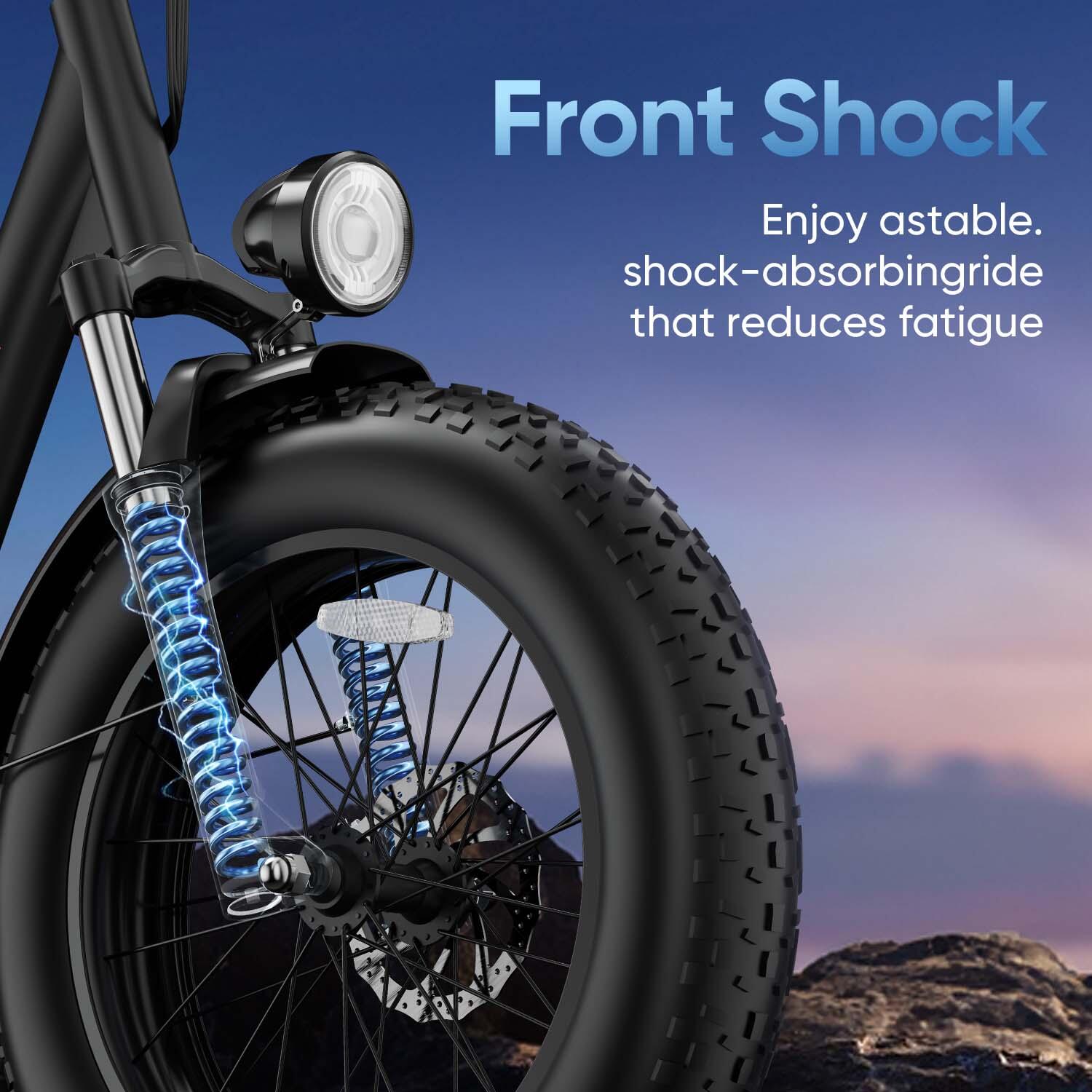 URLIFE E20 Pro E-Bike mit 48V 15,6Ah Akku und LCD-Display 6/7