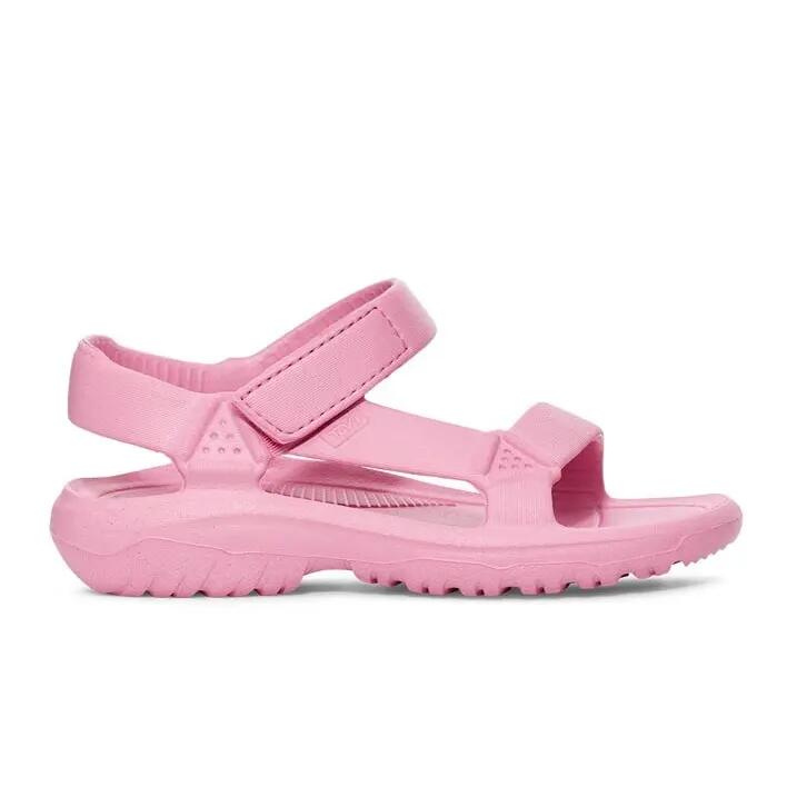 TEVA picture