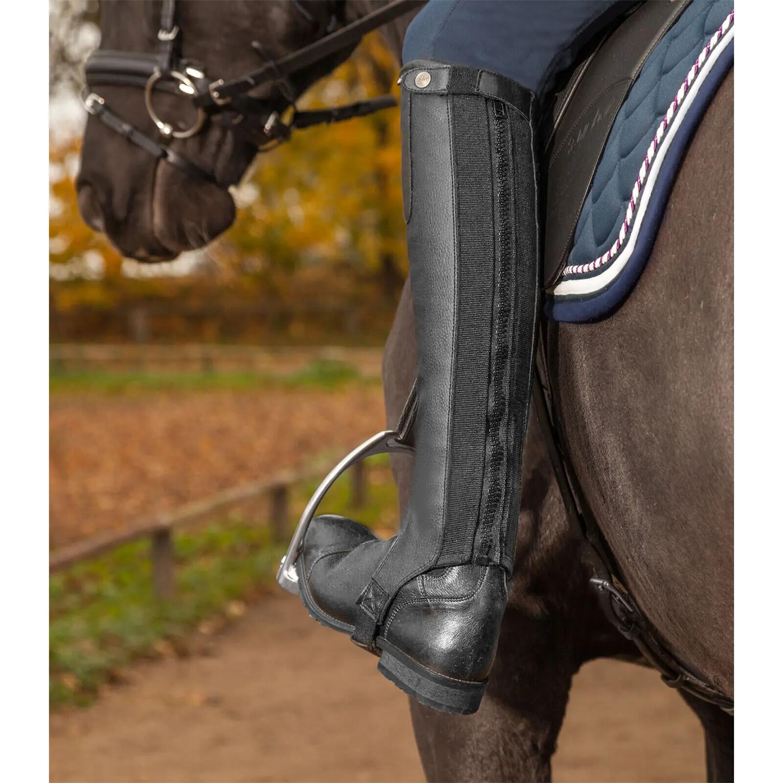 Bőr mini chaps ELT Exclusive 3/3