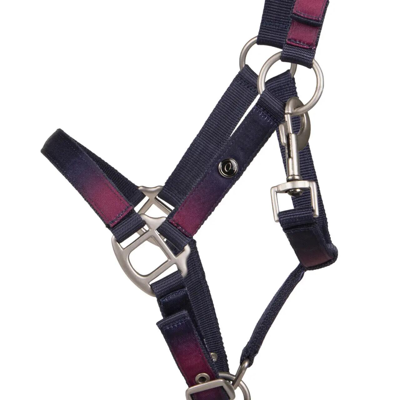 Duo halster en longe voor paard QHP Jaily 2/3