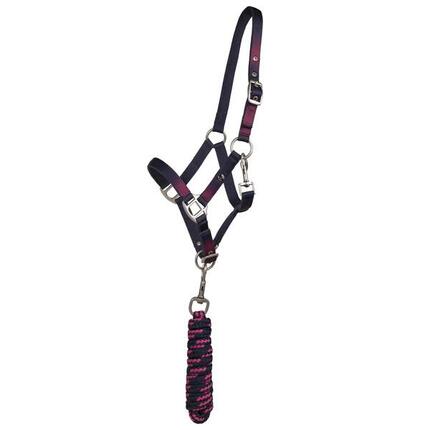Duo licol et longe pour cheval QHP Jaily