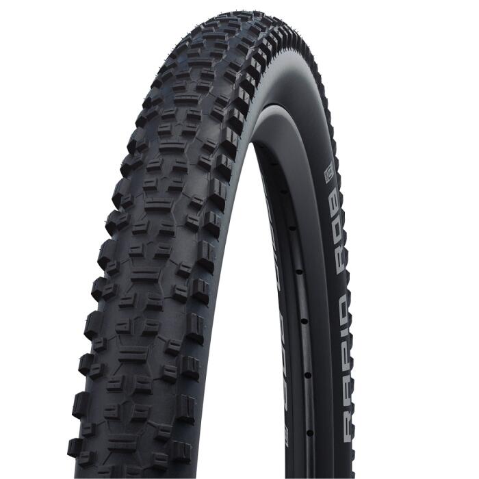 SCHWALBE picture