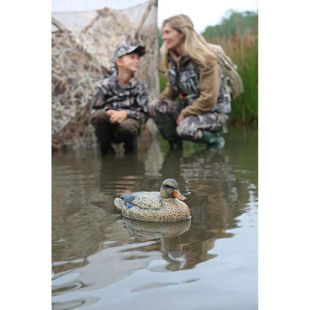 Pack Canard Femelle Colvert Ultra HD Moussé Decoys 2/5
