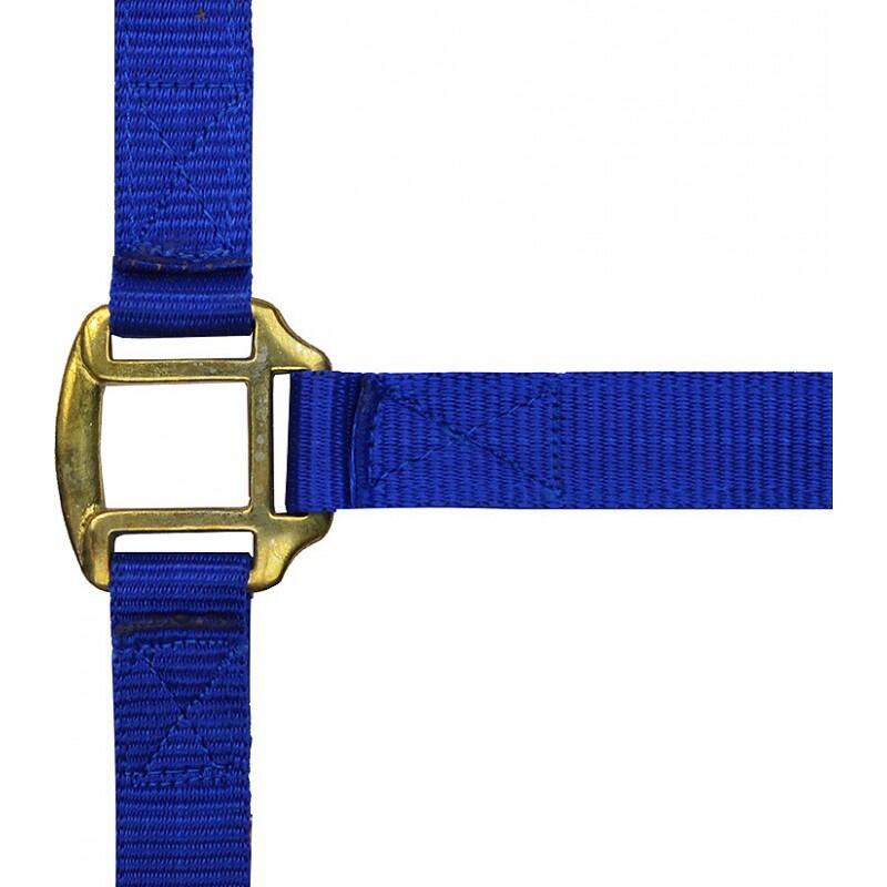 Licol nylon marine doublé cuir pour cheval 1/2